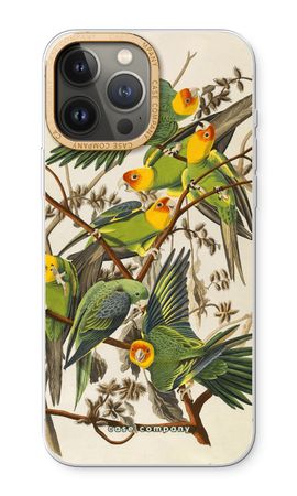 Carolina Parrot