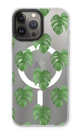 Monstera leaves