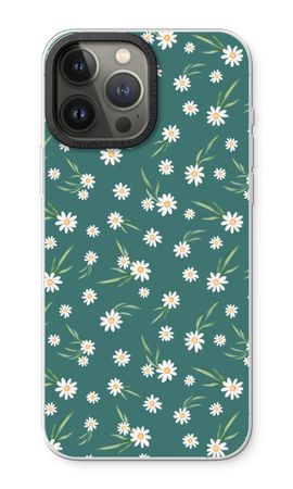 Petites marguerites