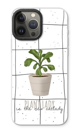 Houseplant on windowpane