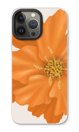 Orange Ellila flower