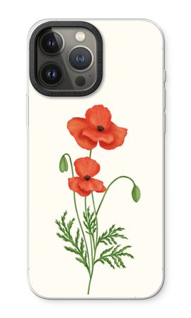 Red poppy