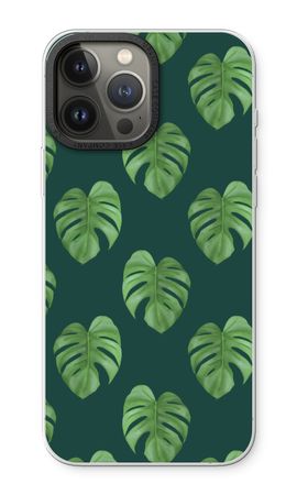 Monstera leaves