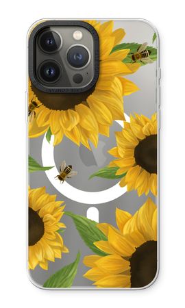 Sunflower and bees