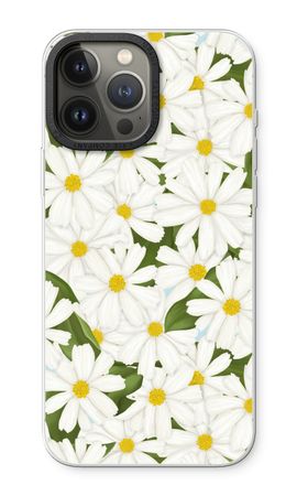 Summer Daisies