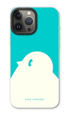 BIG Robin 2