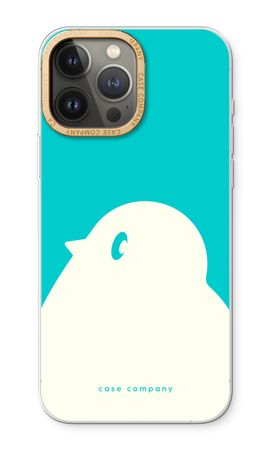 BIG Robin 2