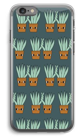 Sansevieria