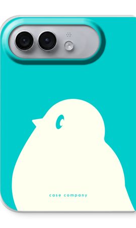 BIG Robin 2