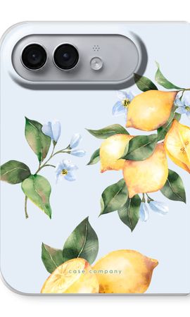 Orchard Sun