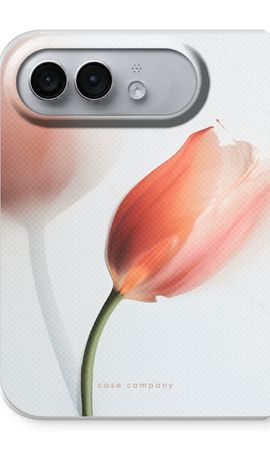 Tulip