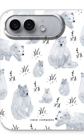 Bears