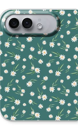 Kleine Gänseblümchen
