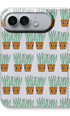 Sansevieria
