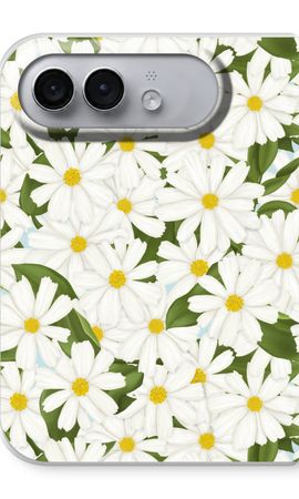 Summer Daisies