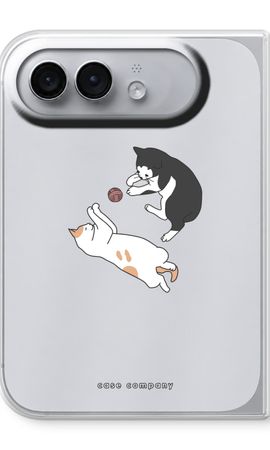 Playing cats