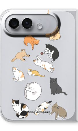 Cats