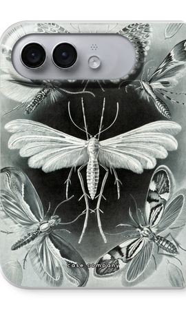 Haeckel Tineida