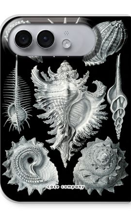 Haeckel Prosobranchia