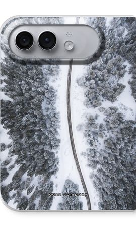 Snøfall