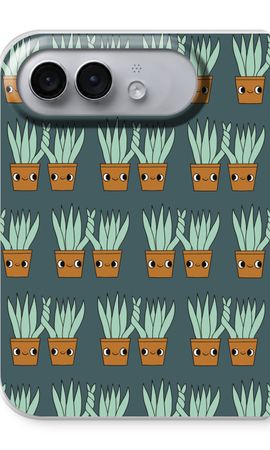 Sansevieria