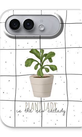 Houseplant on windowpane