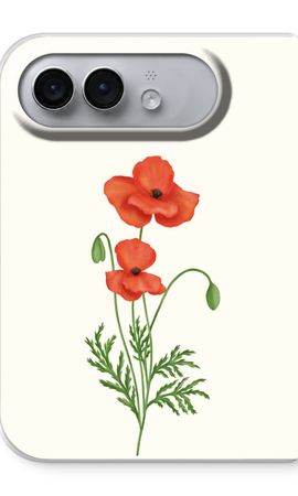 Red poppy