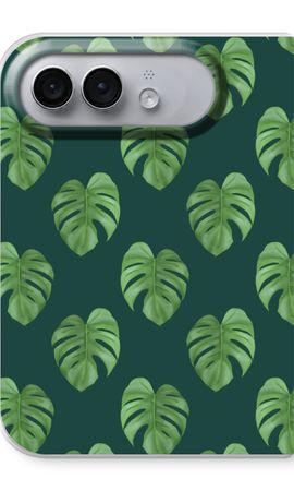 Monstera leaves