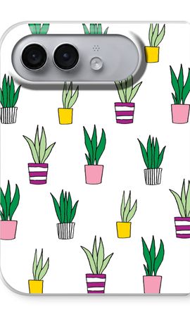 Sanseveria