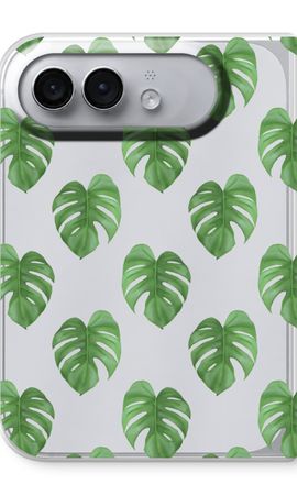 Monstera leaves