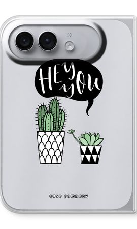 Hey you cactus