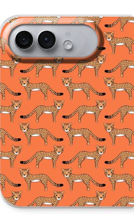 Cheetah