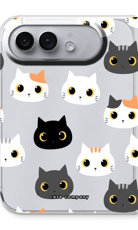 Cats