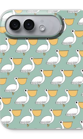 Pelican