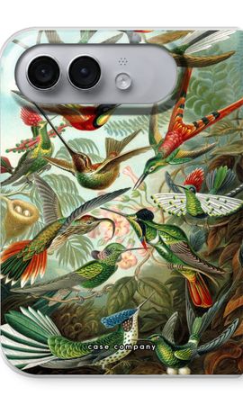 Haeckel Trochilidae