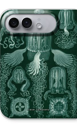 Haeckel Cubomedusae