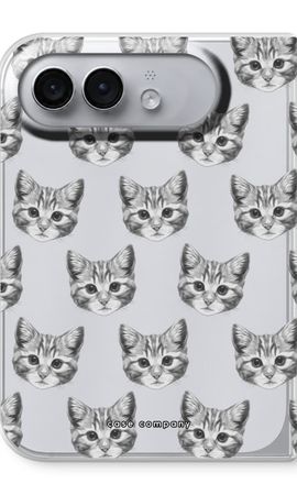 Kitten