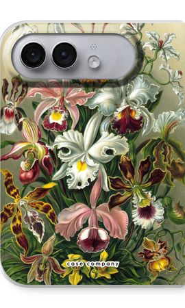 Haeckel Orchidae