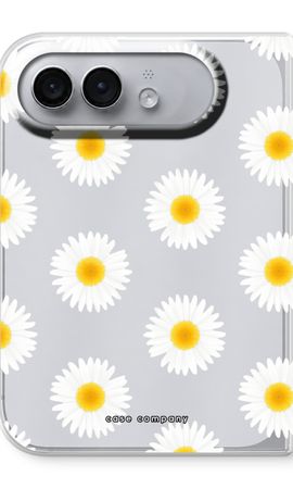 Daisies