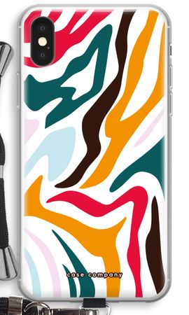 Colored Zebra