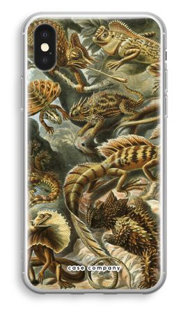Haeckel Lacertilia