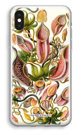 Haeckel Nepenthaceae
