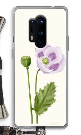Purple poppy