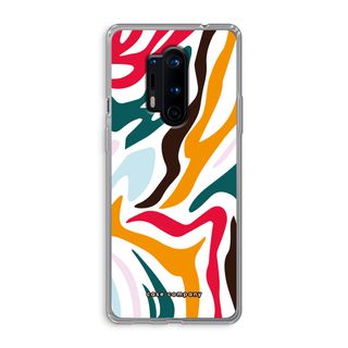Colored Zebra