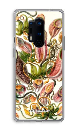 Haeckel Nepenthaceae