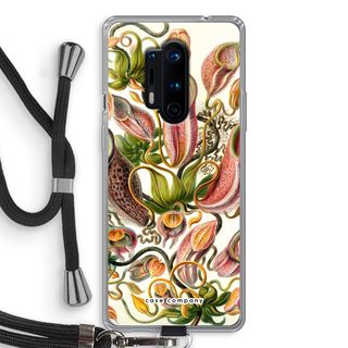 Haeckel Nepenthaceae