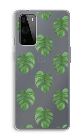 Monstera leaves