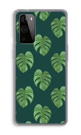 Monstera leaves