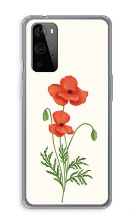Red poppy