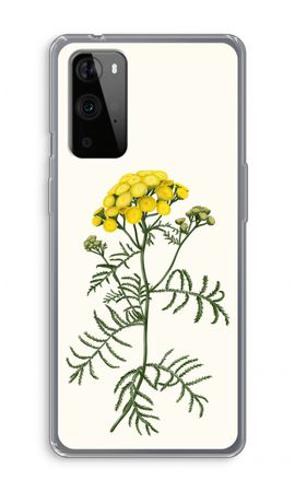 Tansy